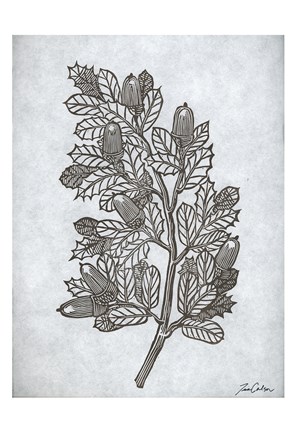Framed Oak Tree 2 Print