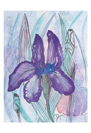 Framed Violet Iris Print
