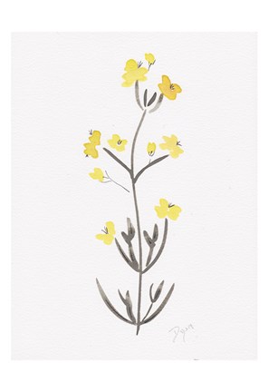 Framed Wildflower Organics VI Print