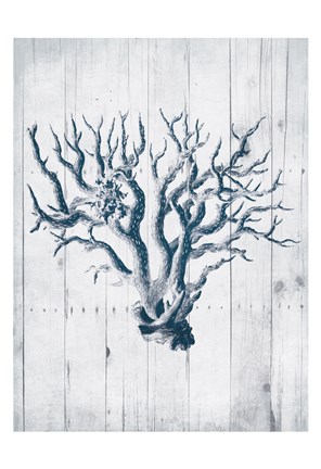 Framed Coral White Wood Mate Print