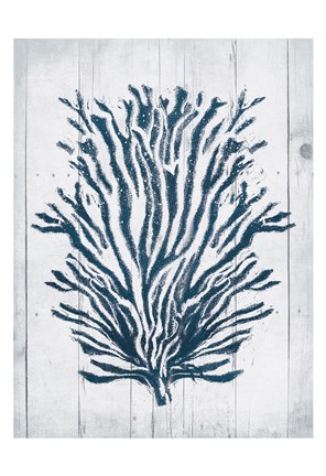 Framed Coral White Wood Forth Print