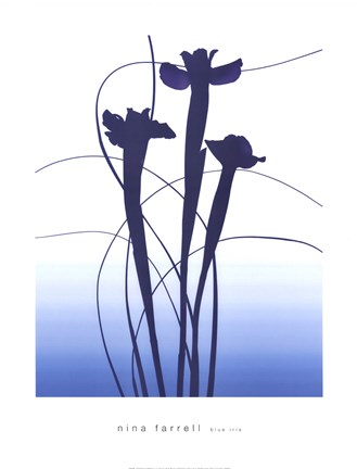 Framed Blue Iris Print