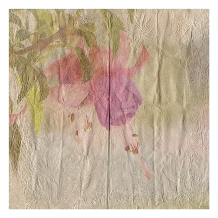 Framed Vintage Bloom 1 Print