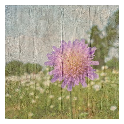 Framed Vintage Bloom 2 Print