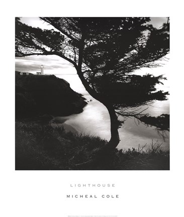 Framed Lighthouse Print