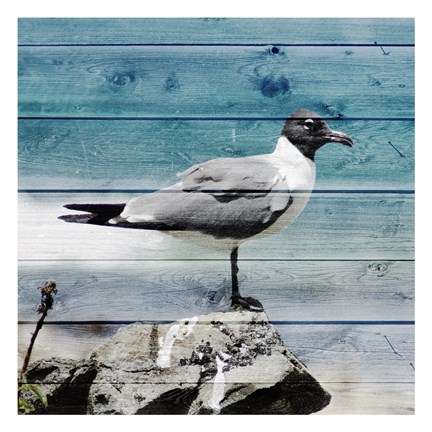 Framed Coastal View Print