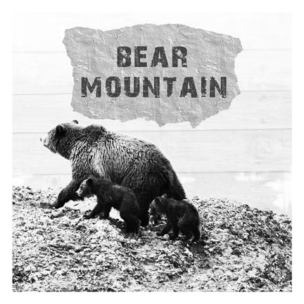 Framed Bear Mountain Print