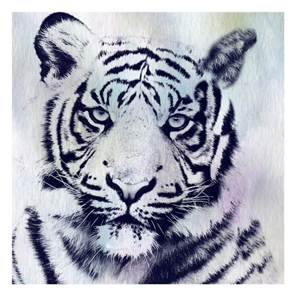 Framed Tiger Roar Print