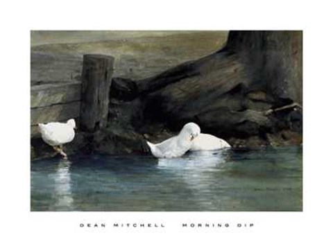 Framed Morning Dip Print