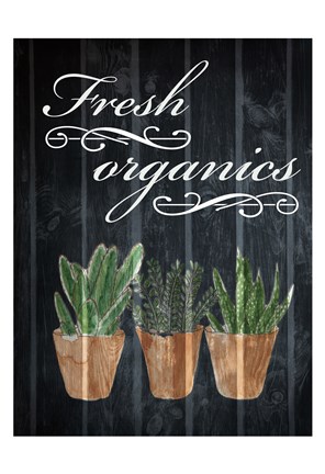 Framed Fresh Organics 1 Print