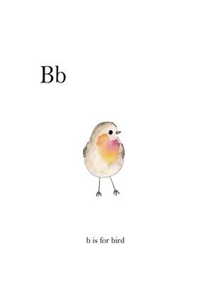 Framed Bb Is For Bird Print