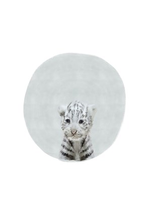 Framed Baby White Tiger Print