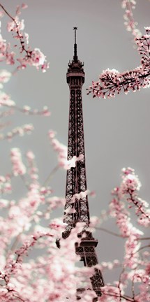 Framed Spring Eiffel Pastel Print