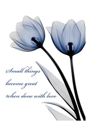 Framed Small Things Print