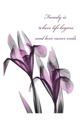 Framed Family Begins Print