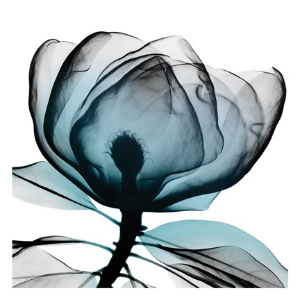 Framed Waking Midnight 1 Print