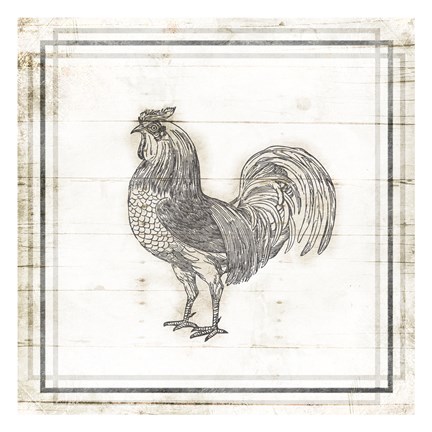 Framed Modern Rooster Print