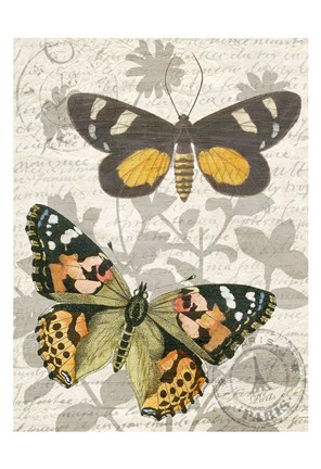 Framed Butterfly Travel 2 Print