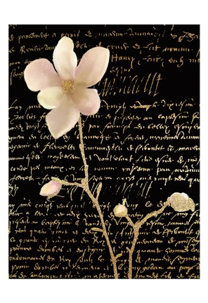 Framed Magnolia Gold 1 Print