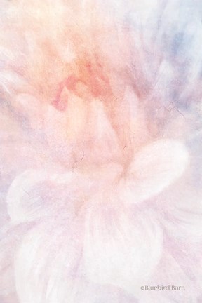 Framed Soft Dahlia Pastel Peach Lilac Print