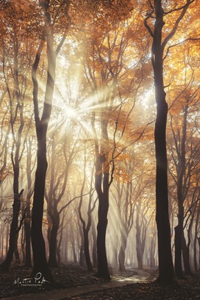 Framed Explosion Print