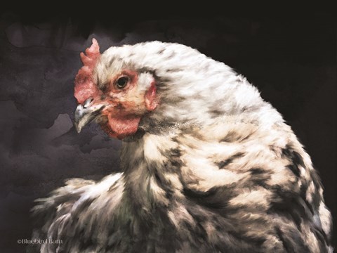 Framed Rooster Portrait Print