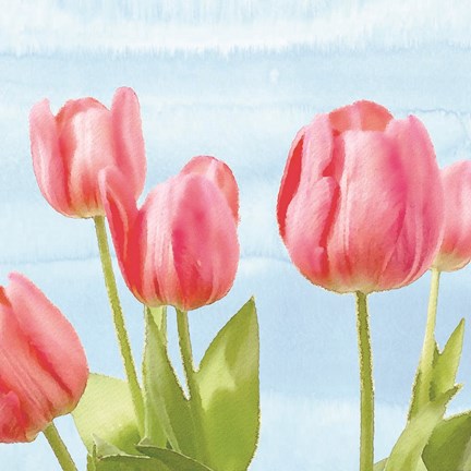 Framed Fresh Spring Tulips I Print