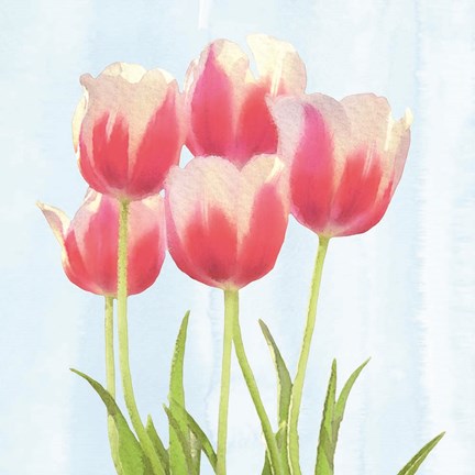 Framed Fresh Spring Tulips III Print