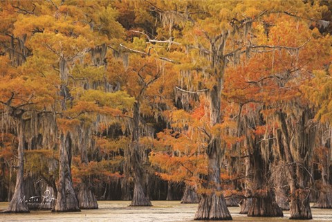 Framed Autumn's Painting Print