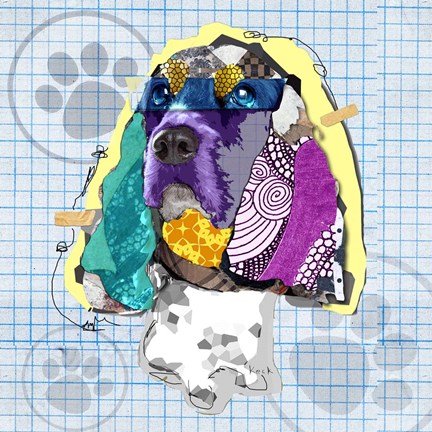 Framed Cockerspaniel Print