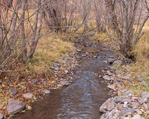 Framed Ochoco Creek Print