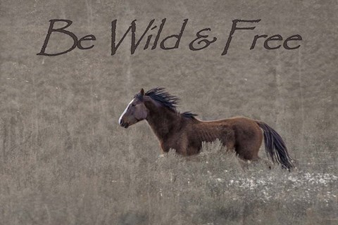 Framed Be Wild &amp; Free Print
