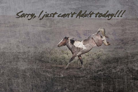 Framed Can&#39;t Adult Print