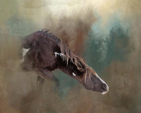 Framed Majesty - Wild Stallion Print