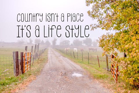 Framed Country Style Print