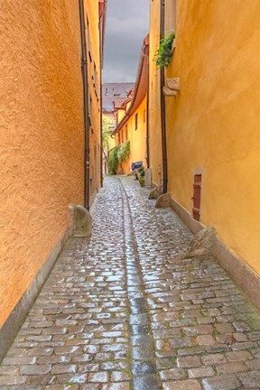 Framed Rothenberg Alley Print