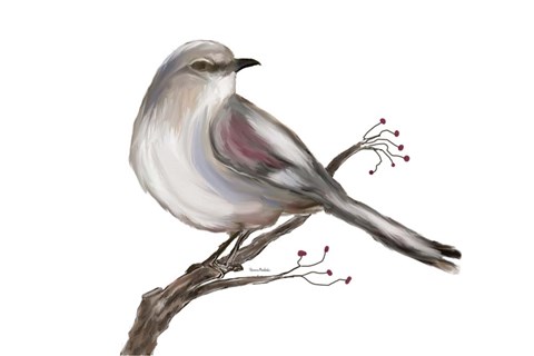 Framed Bird III Print