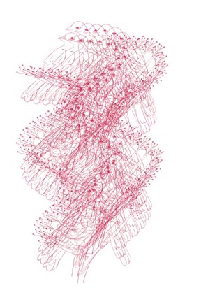 Framed Abstract Birds III Print