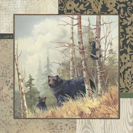 Framed Black Bears with Border Print