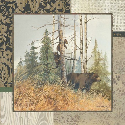 Framed Brown Bears with Border Print