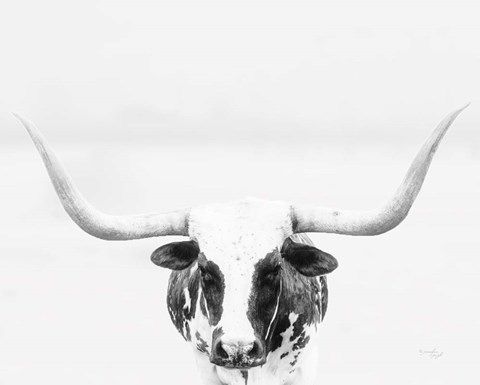 Framed Longhorn Print