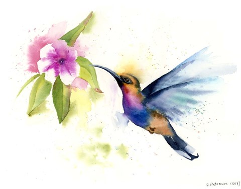 Framed Hummingbird Print