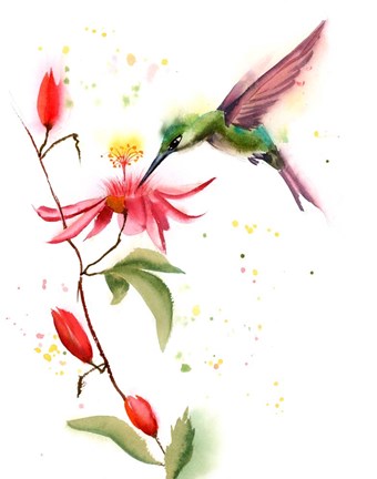 Framed Humming Bird II Print
