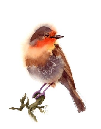 Framed Sunset Bird Print