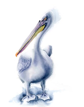 Framed Pelican Blue Print