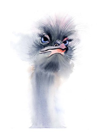 Framed Ostrich Print