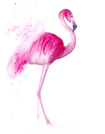 Framed Flamingo III Print