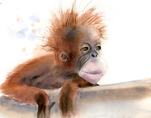 Framed Baby Monkey Print