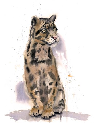 Framed Wild Cat Print