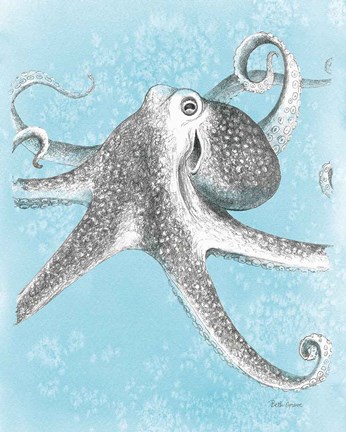 Framed Coastal Sea Life II v2 Print